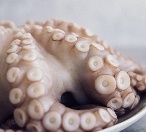 PULPO ENTERO